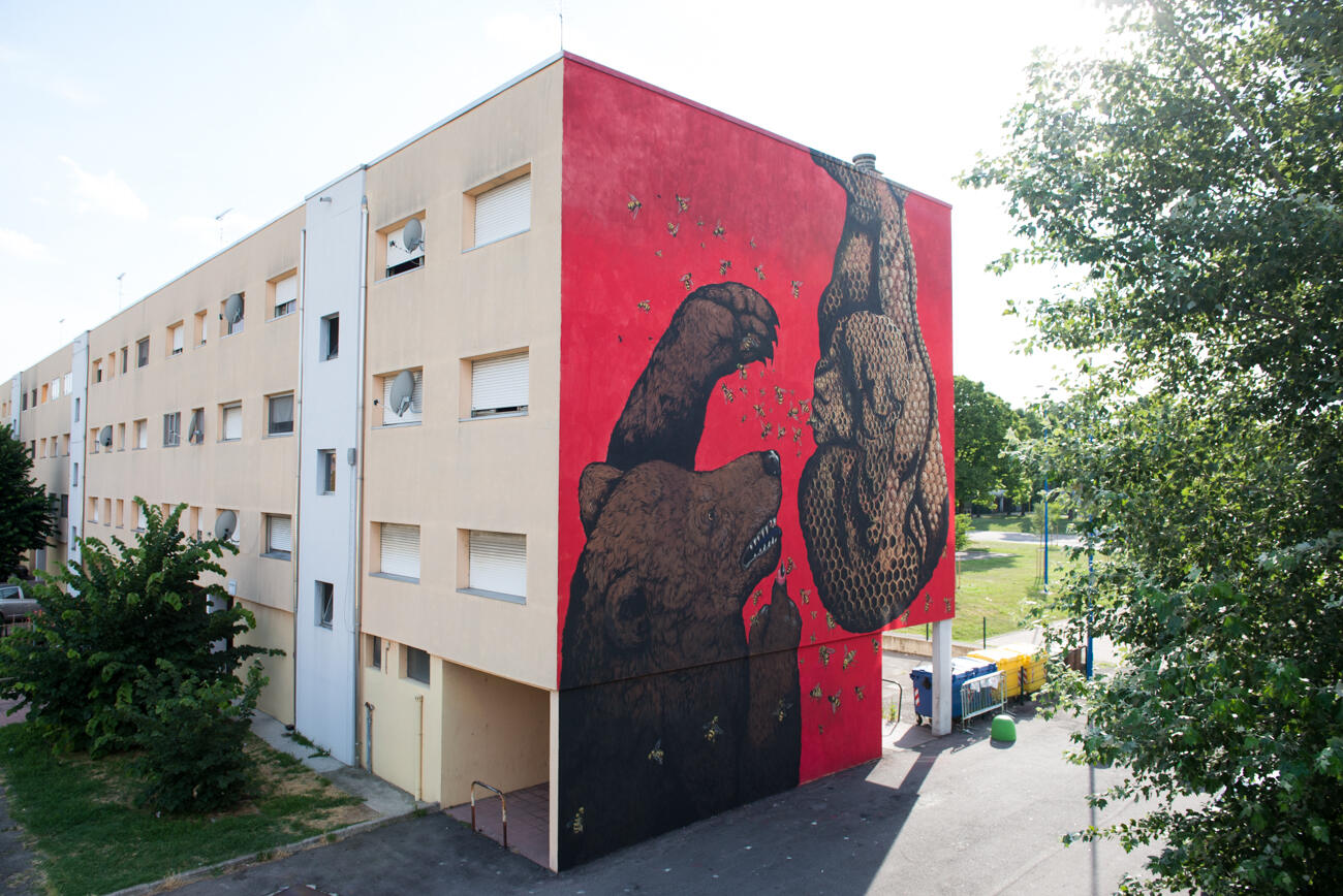 Without Frontiers, Lunetta a Colori. Ericailcane e Bastardilla, 2018